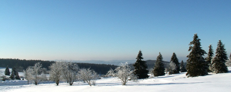 Vue du Champ du feu, a 32 km du Gite en Alsace